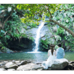 I LOVE TRAVEL travel_couple-150x150 関東近郊｜カップル旅行！1泊2日のおすすめ23選 国内旅行 